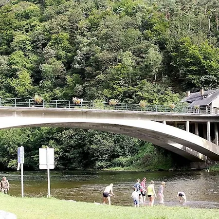 Le Rouge Gorge Curieux *