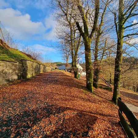 Le Rouge Gorge Curieux *