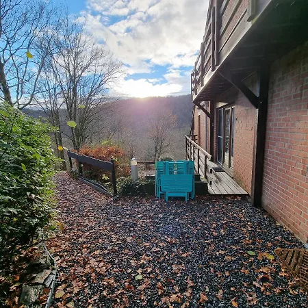 Le Rouge Gorge Curieux *