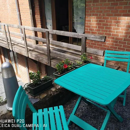 Le Rouge Gorge Curieux